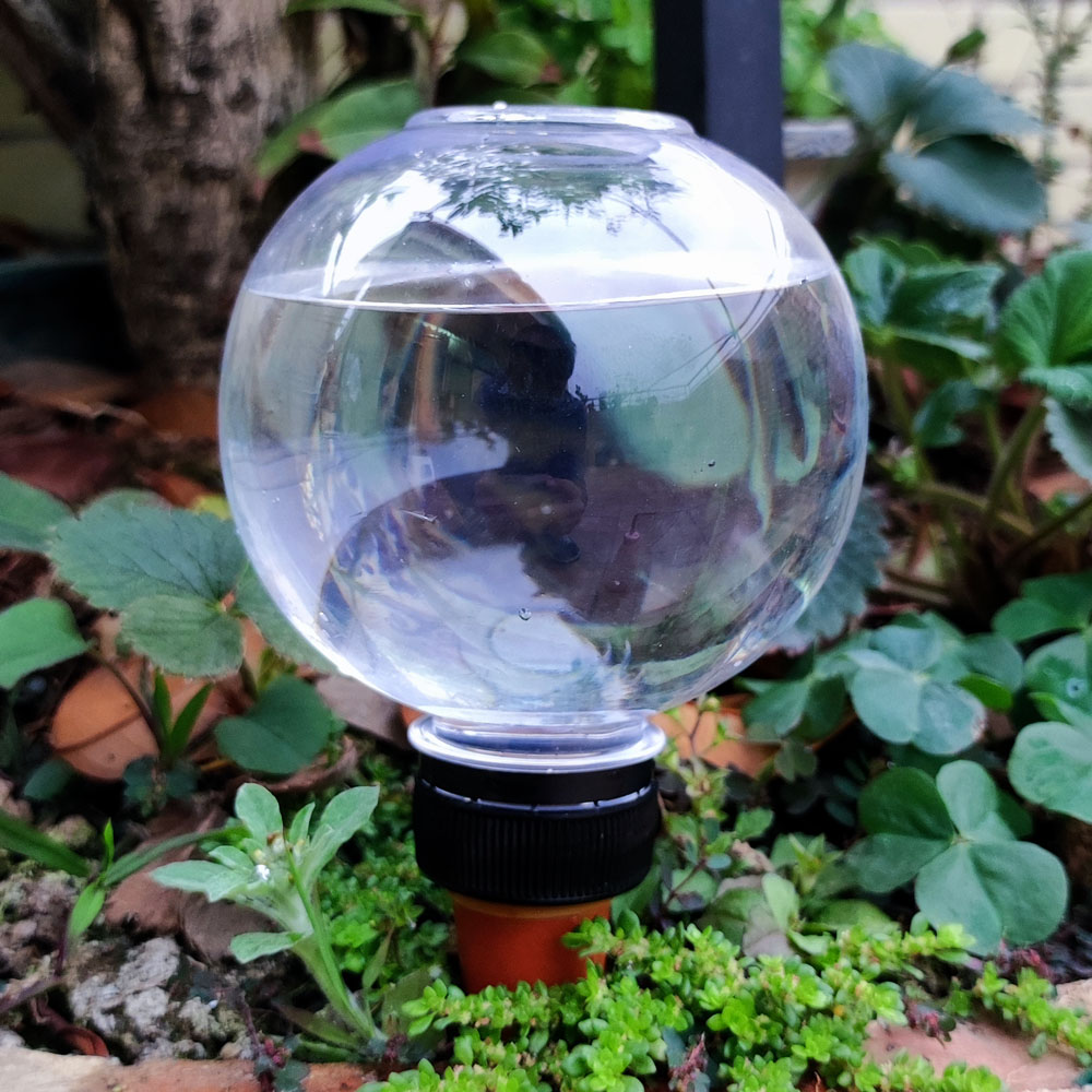 4 Pcs Automatic Watering Plant - Gardening Tools Green 리뷰 및 가격