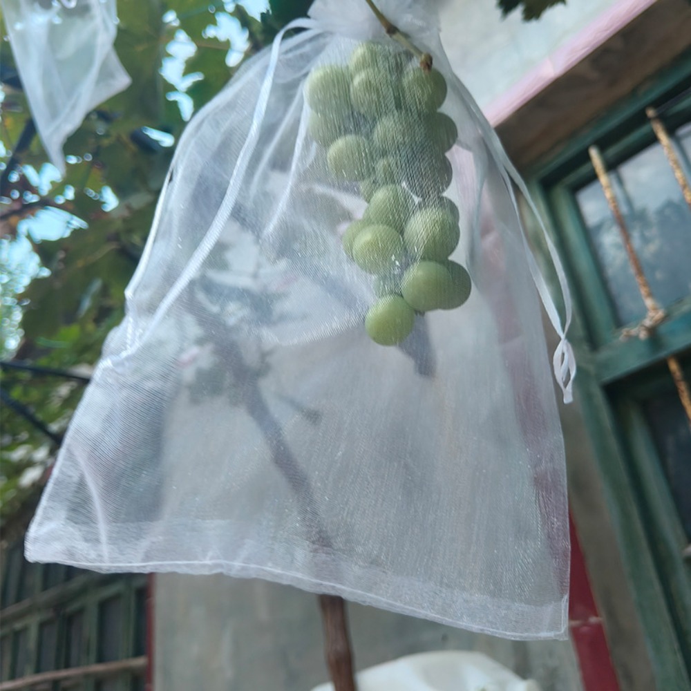 100pcs Mesh Grapes Fruit Grow  - Grow Bags 리뷰 및 가격
