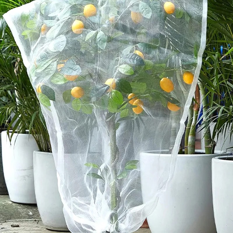 Various Size Garden Mesh Netti - Grow Bags 리뷰 및 가격
