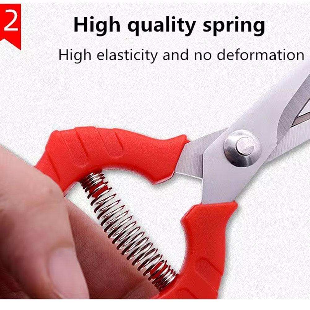 1PC Stainless Steel Garden Sci - Gardening Tools To Cut Branches 리뷰 및 가격