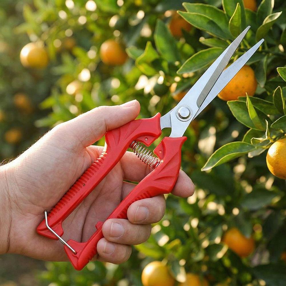 1PC Stainless Steel Garden Sci - Gardening Tools To Cut Branches 리뷰 및 가격