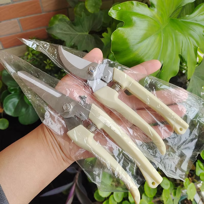 Stainless Steel Pruning Shears - Gardening Tools To Cut Branches 리뷰 및 가격