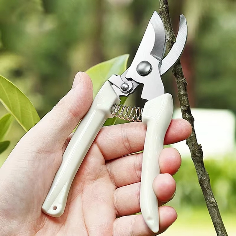 Stainless Steel Pruning Shears - Gardening Tools To Cut Branches 리뷰 및 가격