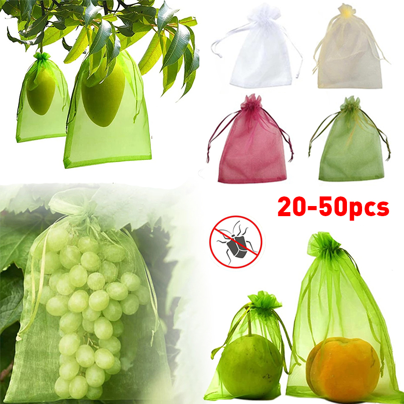 20-100pcs Strawberry Grapes Fr - Grow Bags 리뷰 및 가격