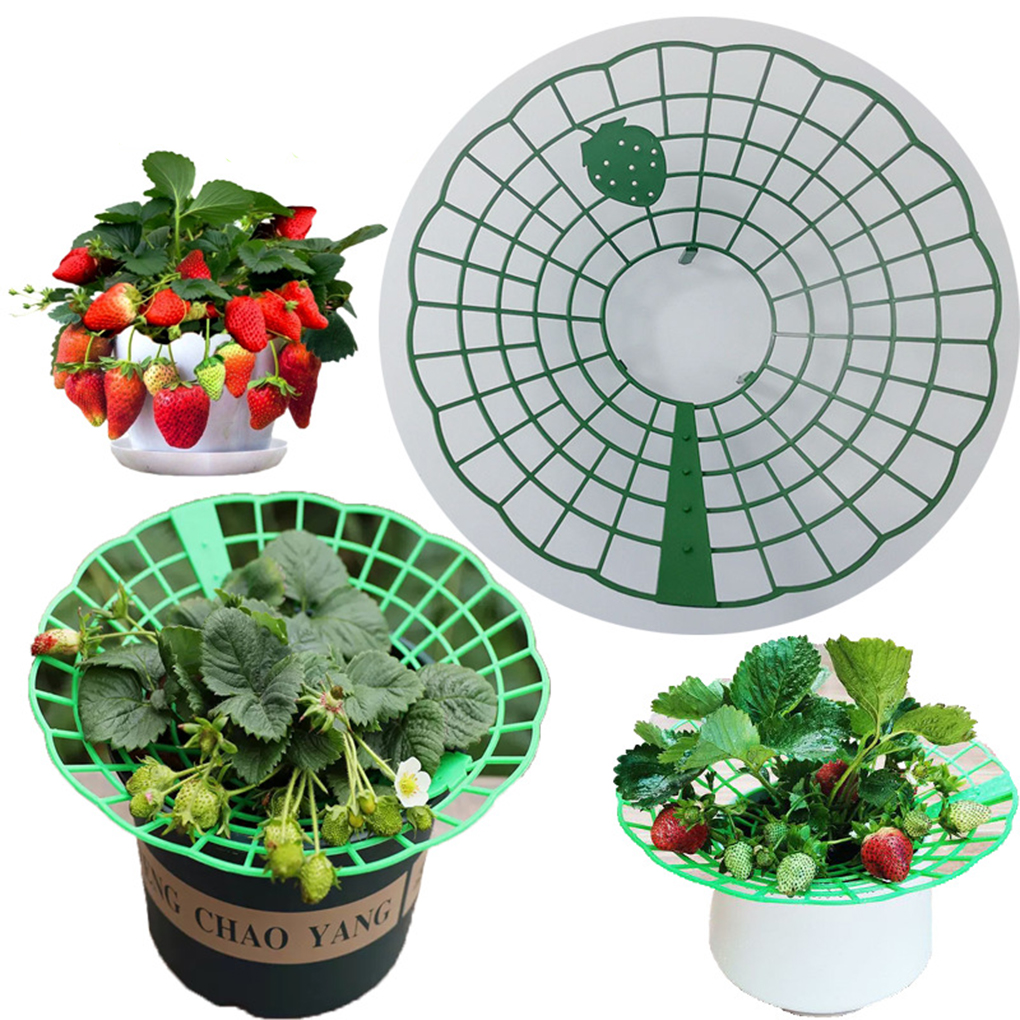 20PCS Strawberry Stand Green C - Gardening Tools Green 리뷰 및 가격