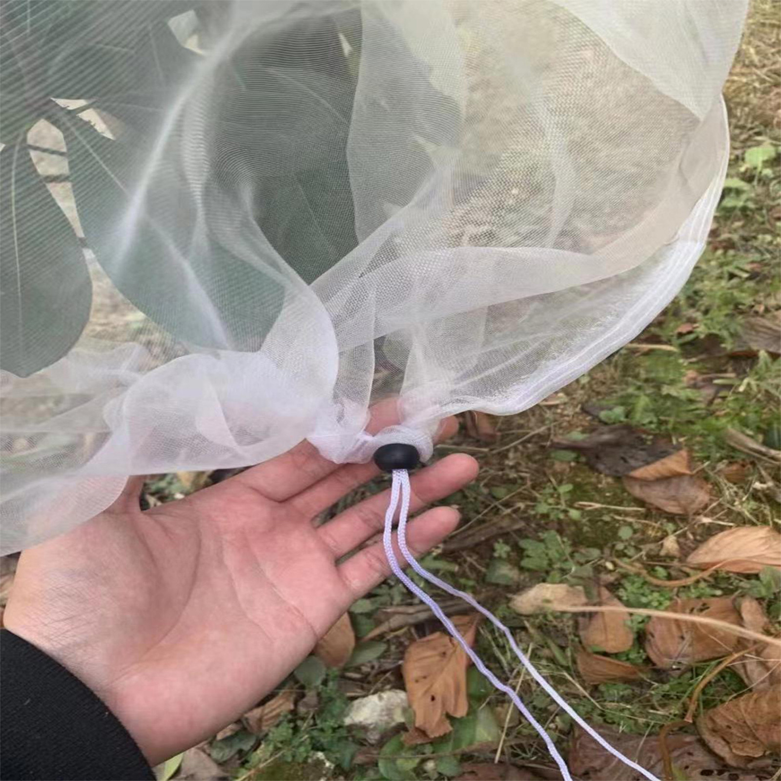 Large Fruit Tree Netting Bags  - Grow Bags 리뷰 및 가격