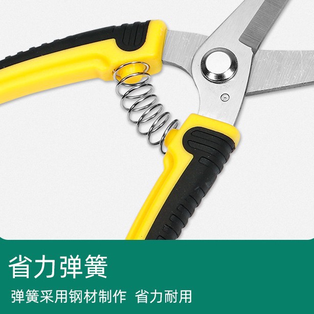 Stainless Steel Pruning Cut Fl - Gardening Tools To Cut Branches 리뷰 및 가격