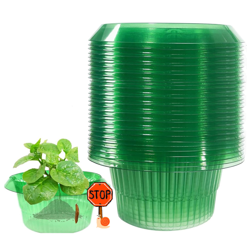 5-25Pcs Plants Slug Protection - Gardening Tools Green 리뷰 및 가격
