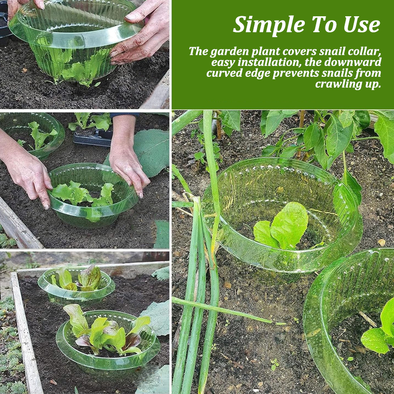 5-25Pcs Plants Slug Protection - Gardening Tools Green 리뷰 및 가격