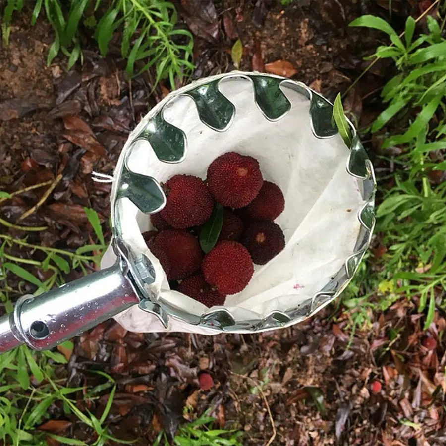 3-in-1 Fruit Harvesting Tool S - Grow Bags 리뷰 및 가격