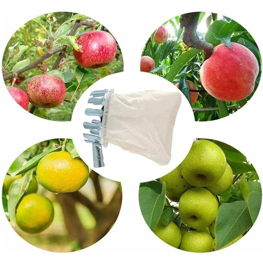 3-in-1 Fruit Harvesting Tool S - Grow Bags 리뷰 및 가격