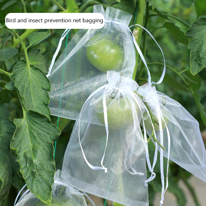 50Pcs Grapes Fruit Protection  - Grow Bags 리뷰 및 가격