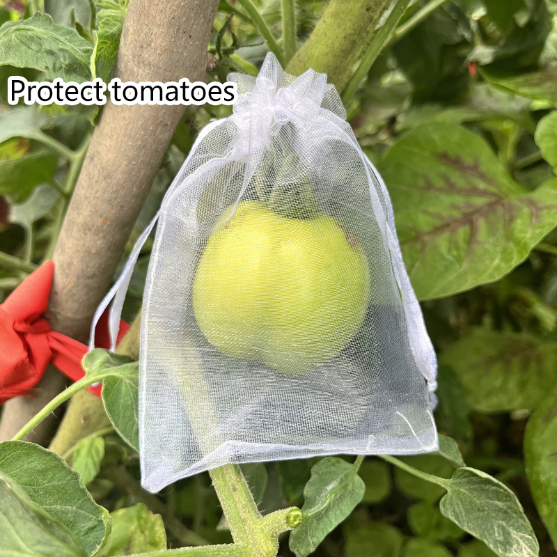 50Pcs Grapes Fruit Protection  - Grow Bags 리뷰 및 가격
