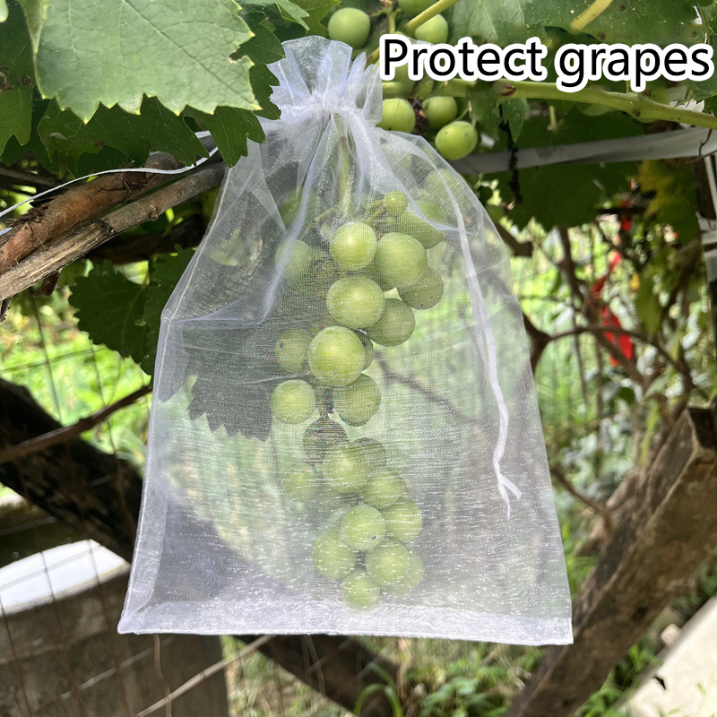 50Pcs Grapes Fruit Protection  - Grow Bags 리뷰 및 가격