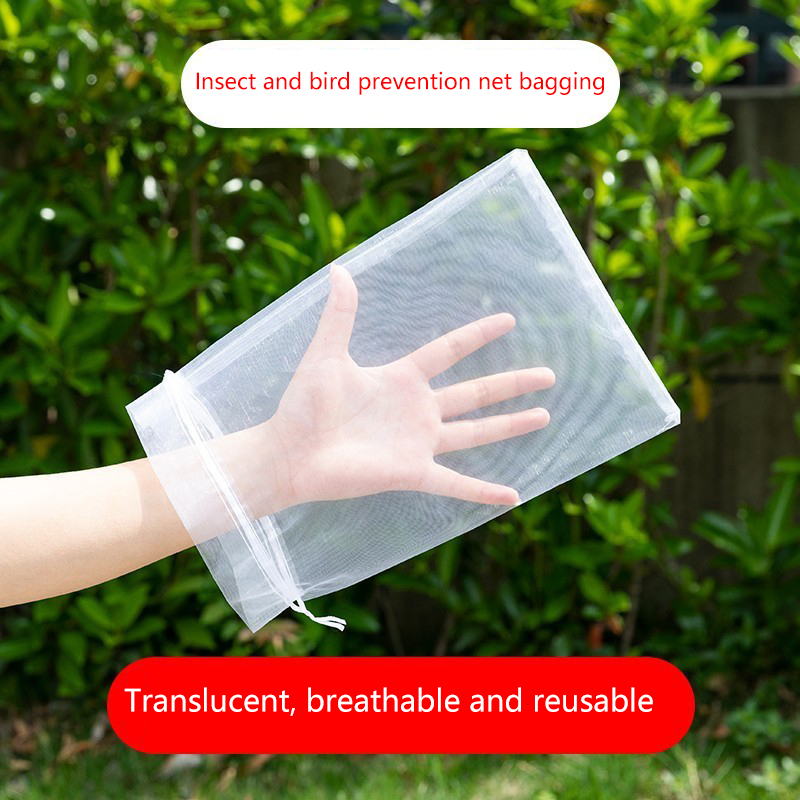 50Pcs Grapes Fruit Protection  - Grow Bags 리뷰 및 가격