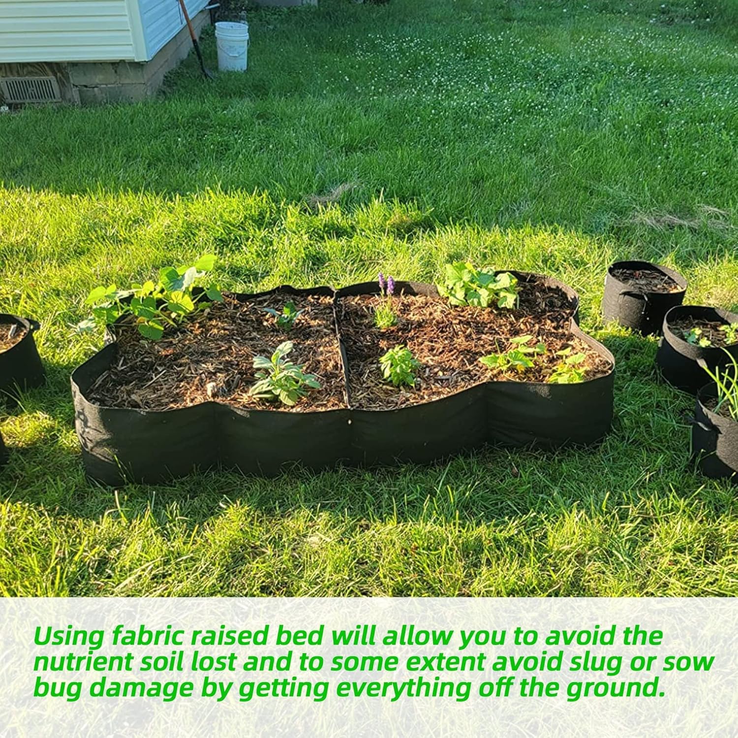 Fabric Raised Garden Bed, 2Pac - Grow Bags 리뷰 및 가격