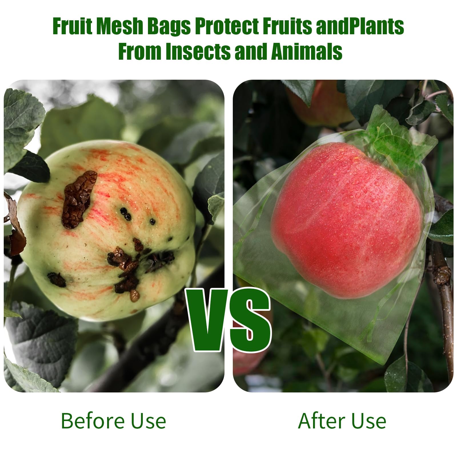 2026 New Fruit Protection Nett - Grow Bags 리뷰 및 가격