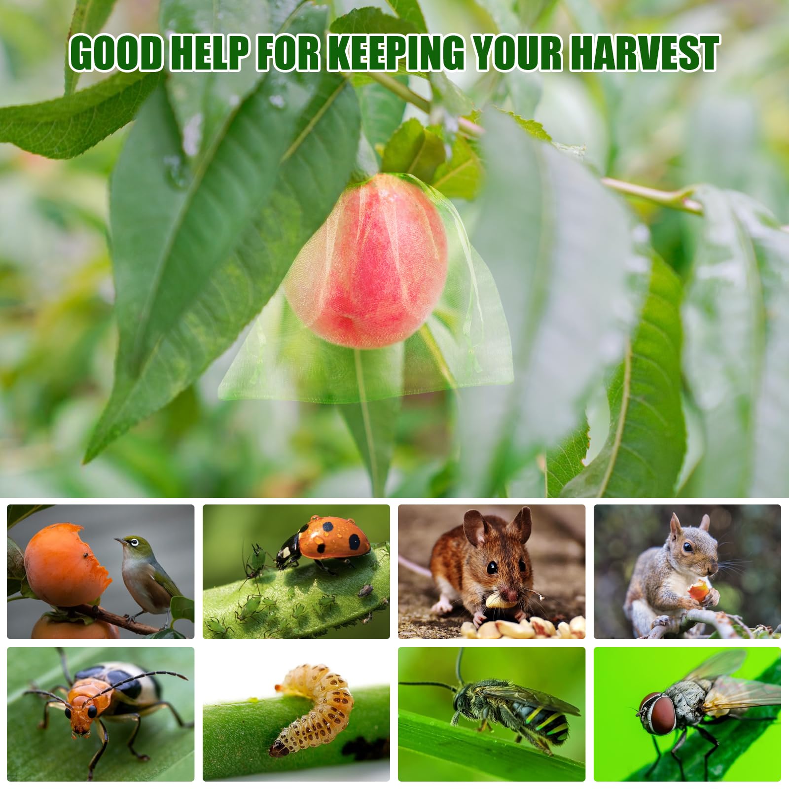 2026 New Fruit Protection Nett - Grow Bags 리뷰 및 가격