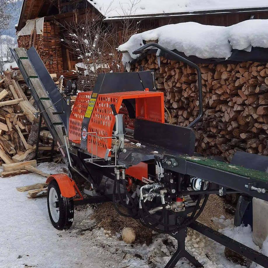 15HP high quality Log Splitter - Gardening Tools In Store 리뷰 및 가격
