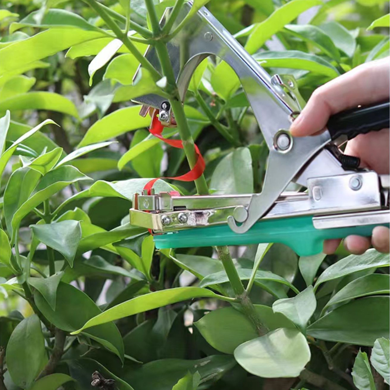 Garden Plants Branch Hand Tyin - Gardening Tools Kit For Home Garden 리뷰 및 가격
