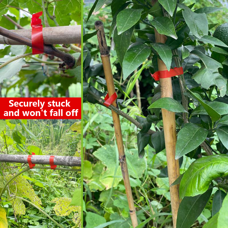 Garden Plants Branch Hand Tyin - Gardening Tools Kit For Home Garden 리뷰 및 가격