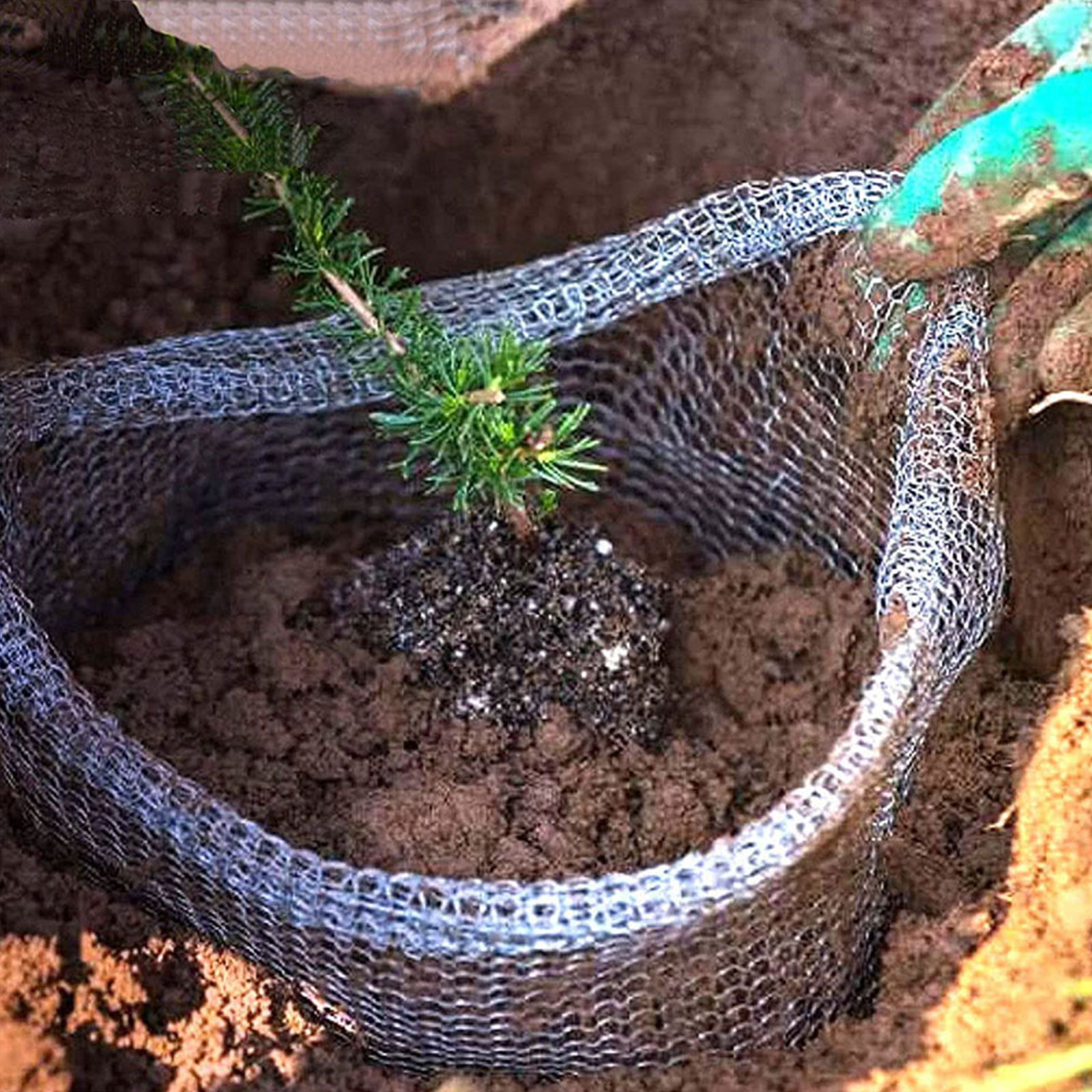 Plant Root Guard Baskets Garde - Grow Bags 리뷰 및 가격