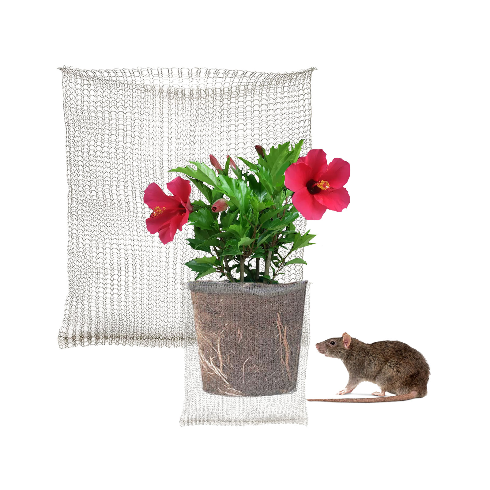 Plant Root Guard Baskets Garde - Grow Bags 리뷰 및 가격