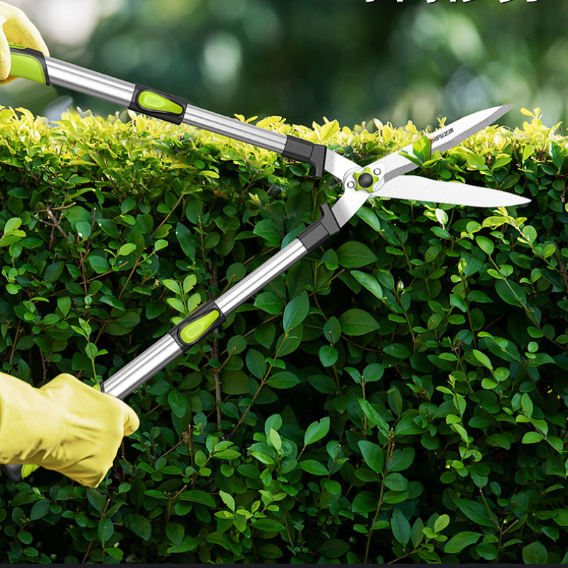 Long Length Scissor Hedge Anvi - Gardening Tools To Cut Branches 리뷰 및 가격