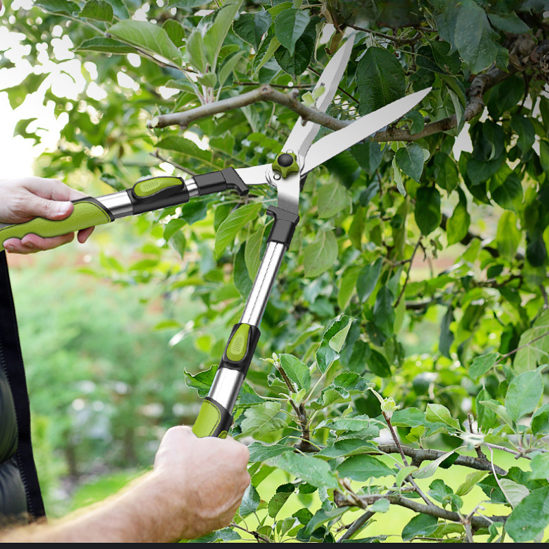 Long Length Scissor Hedge Anvi - Gardening Tools To Cut Branches 리뷰 및 가격