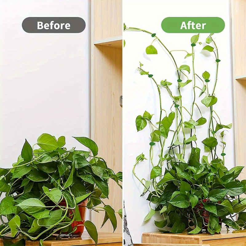 Invisible Plant Climbing Wall  - Gardening Tools Green 리뷰 및 가격