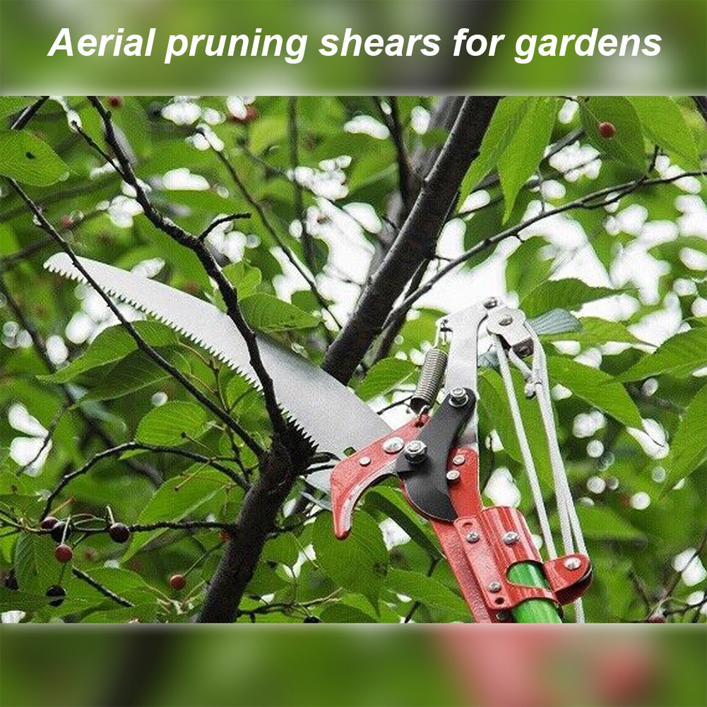 Pruning Shears Labor-Saving Hi - Gardening Tools To Cut Branches 리뷰 및 가격