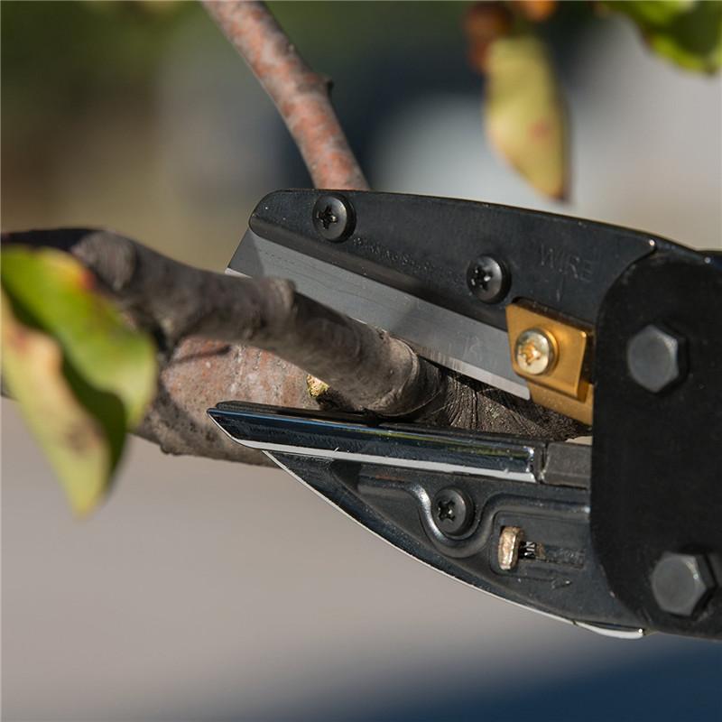 3In1 Plant Trim Horticulture P - Gardening Tools To Cut Branches 리뷰 및 가격