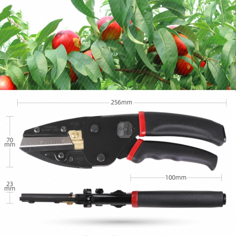 3In1 Plant Trim Horticulture P - Gardening Tools To Cut Branches 리뷰 및 가격