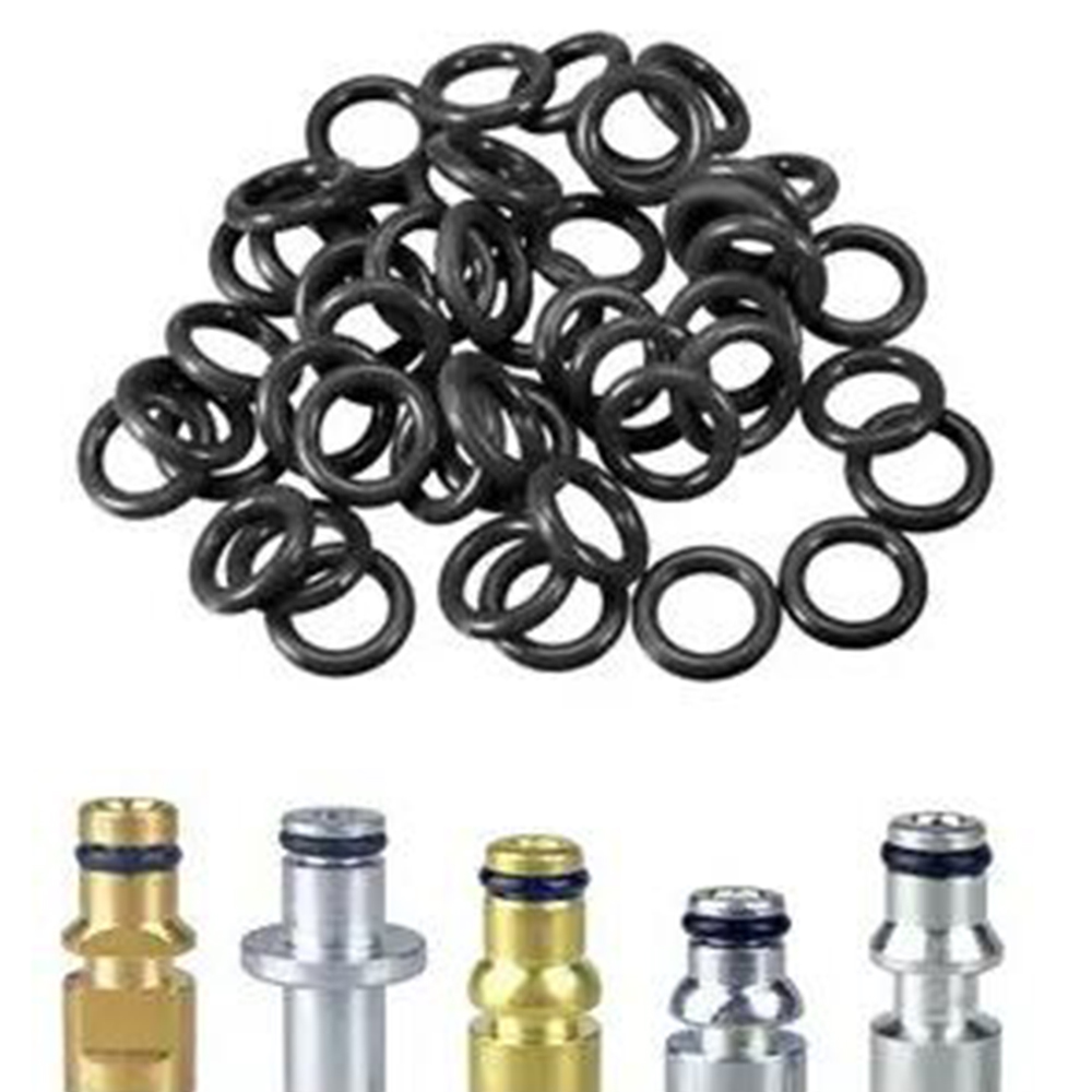 100 Pcs O-Rings High Pressure  - Gardening Tools Types 리뷰 및 가격