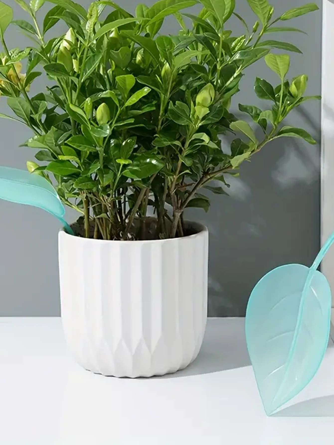 1pc Creative Irrigation Tools: - Gardening Tools Types 리뷰 및 가격