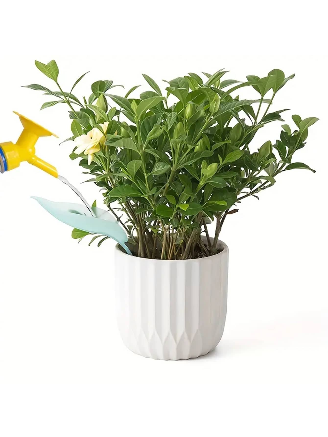 1pc Creative Irrigation Tools: - Gardening Tools Types 리뷰 및 가격