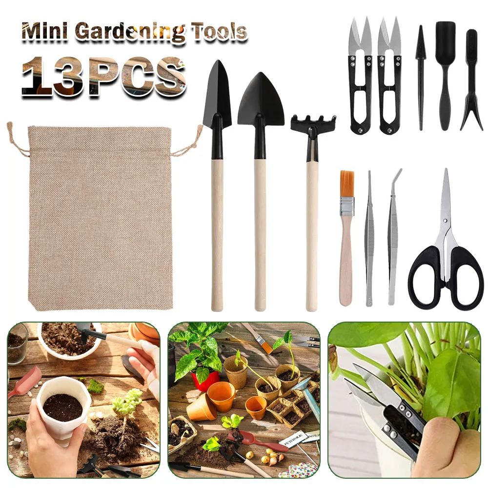 13PCS Succulent Plants Tool Se - Gardening Tools Kit For Home Garden 리뷰 및 가격
