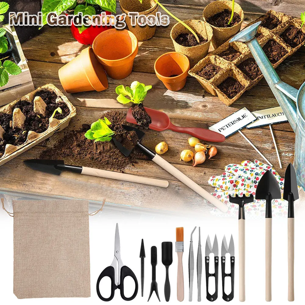 13PCS Succulent Plants Tool Se - Gardening Tools Kit For Home Garden 리뷰 및 가격