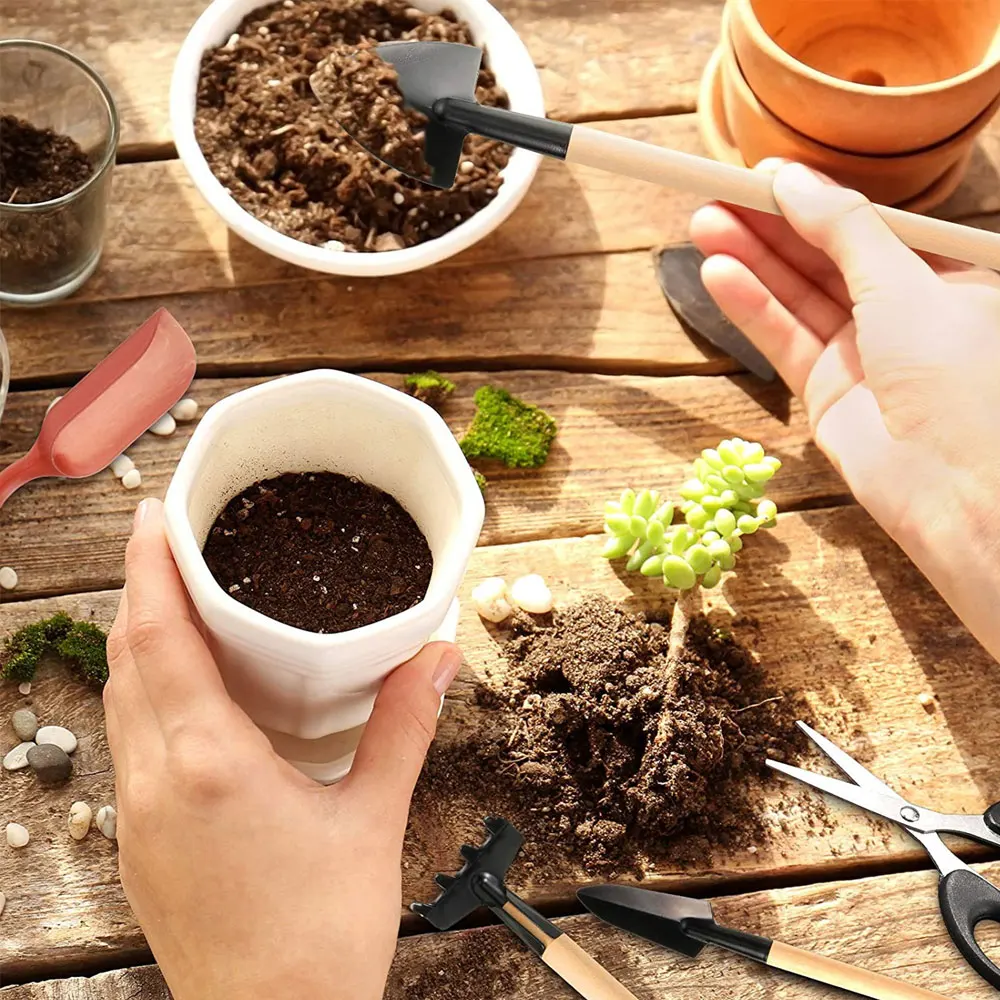 13PCS Succulent Plants Tool Se - Gardening Tools Kit For Home Garden 리뷰 및 가격