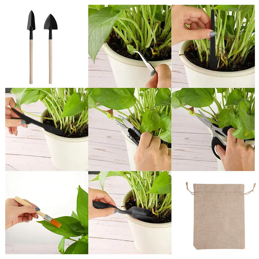 13PCS Succulent Plants Tool Se - Gardening Tools Kit For Home Garden 리뷰 및 가격