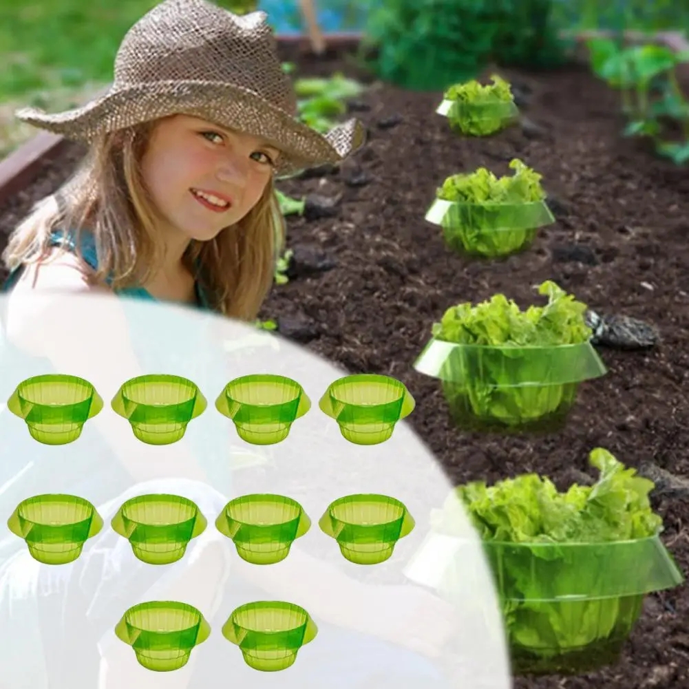 Plants Snail Protection Rings  - Gardening Tools Green 리뷰 및 가격