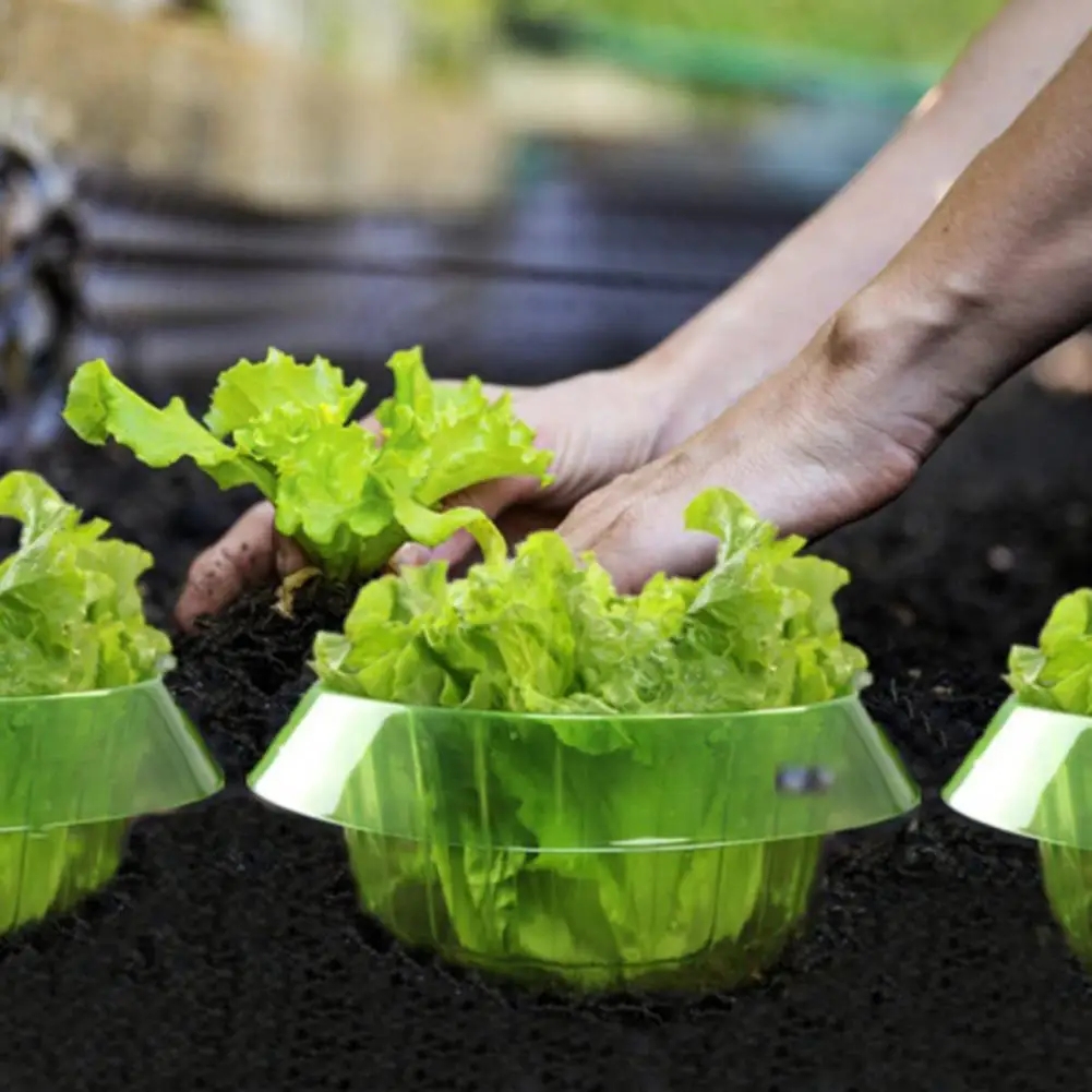 Plants Snail Protection Rings  - Gardening Tools Green 리뷰 및 가격