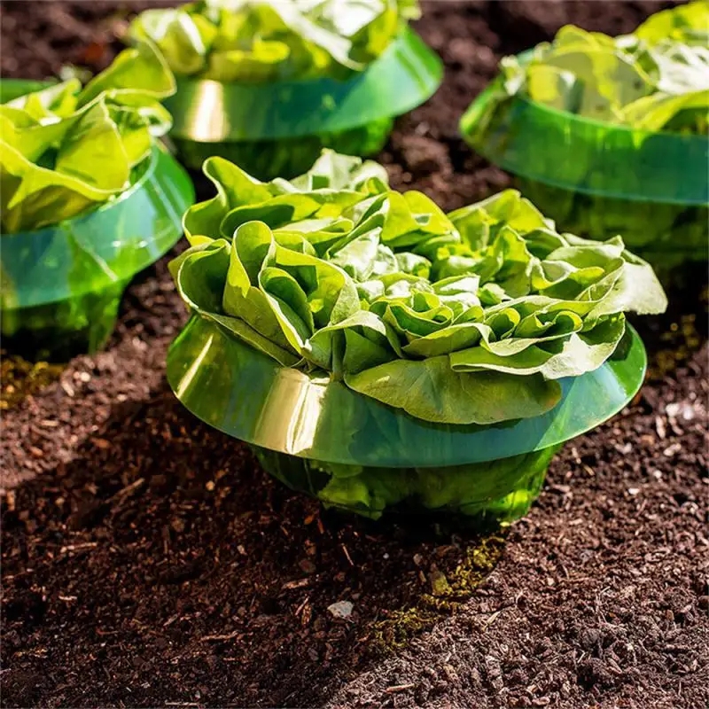 Plants Snail Protection Rings  - Gardening Tools Green 리뷰 및 가격