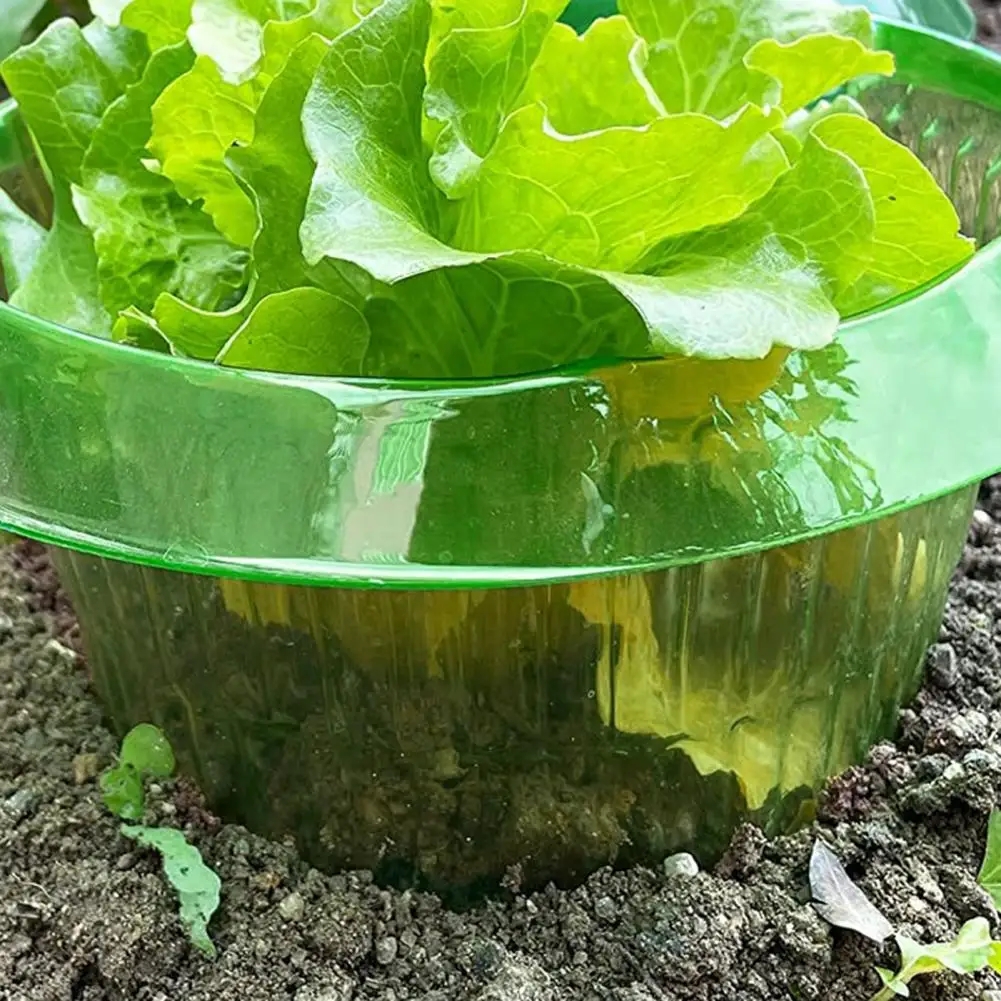 Plants Snail Protection Rings  - Gardening Tools Green 리뷰 및 가격