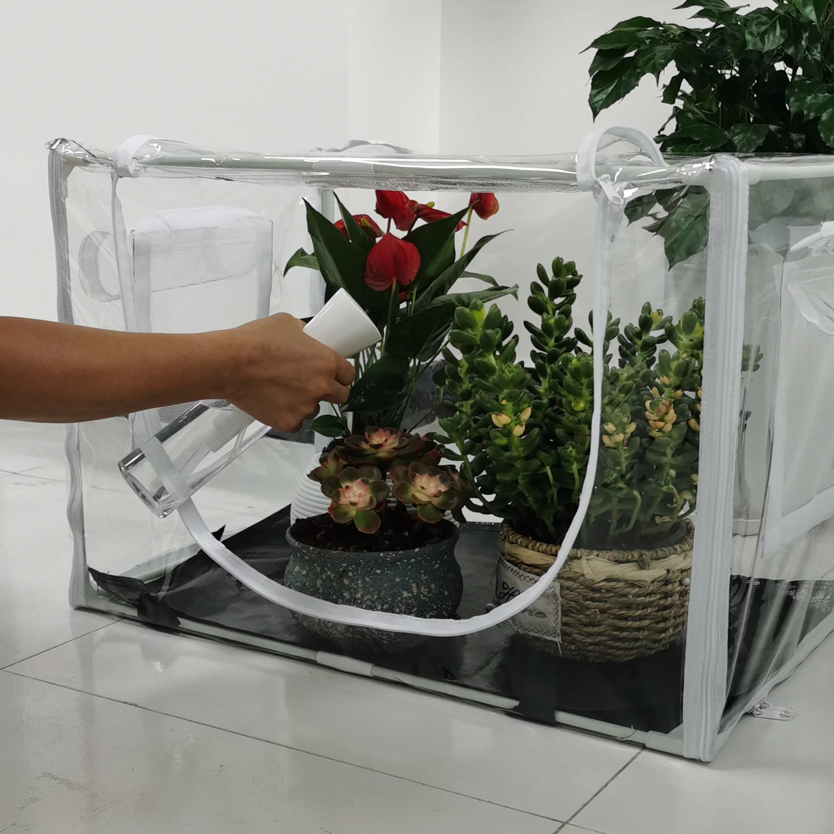 Compact Indoor/Outdoor Greenho - Grow Bags 리뷰 및 가격