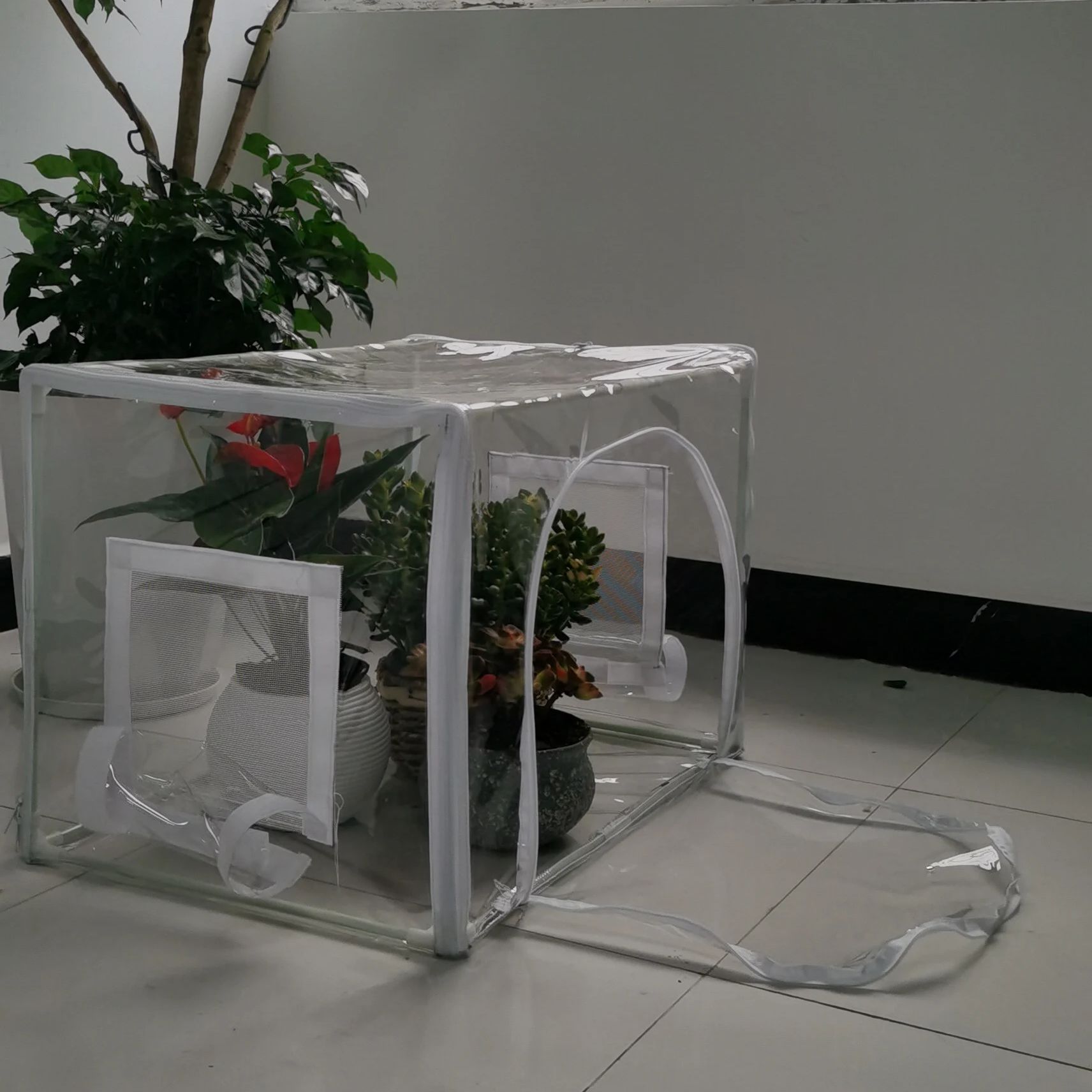 Compact Indoor/Outdoor Greenho - Grow Bags 리뷰 및 가격