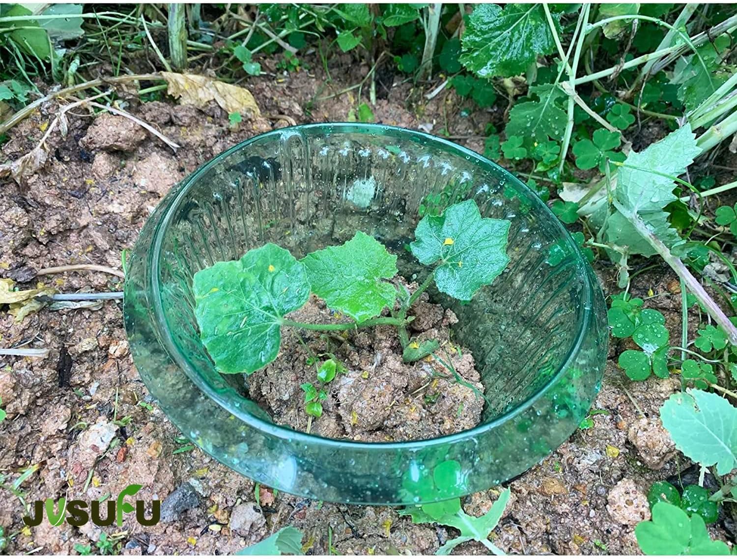 1/30pcs Plants Slug Protection - Gardening Tools Green 리뷰 및 가격