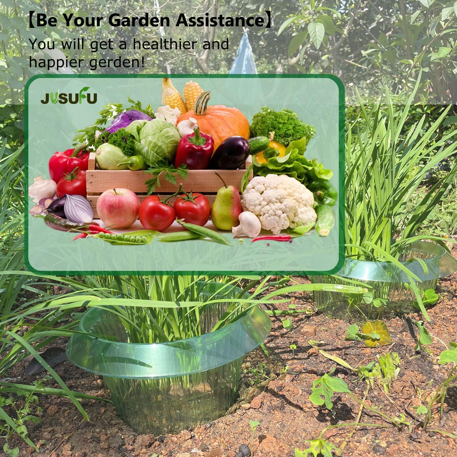 1/30pcs Plants Slug Protection - Gardening Tools Green 리뷰 및 가격
