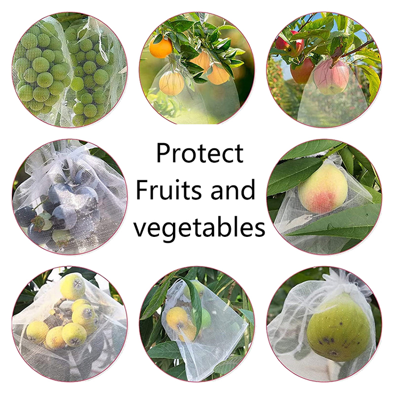 50Pcs Grapes Fruit Protection  - Grow Bags 리뷰 및 가격