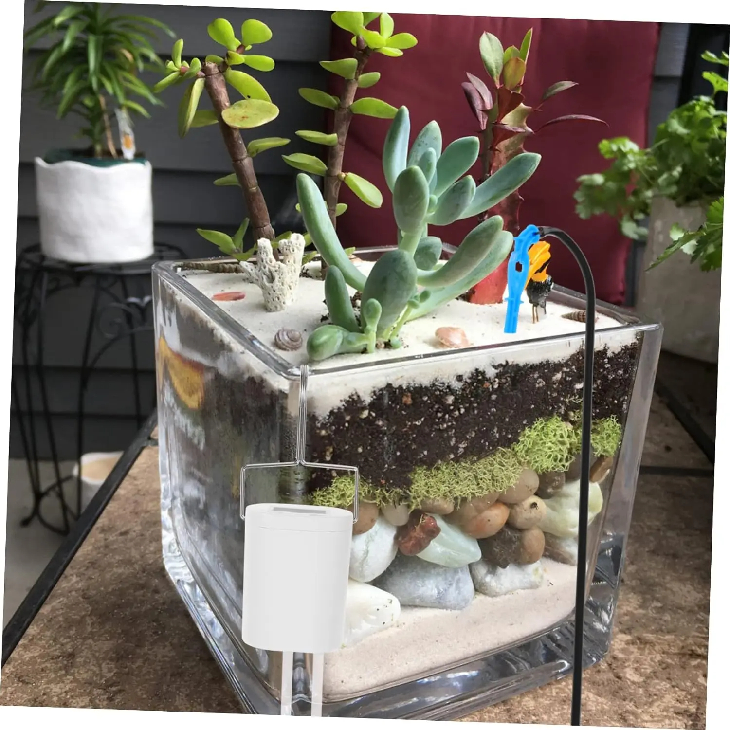 Automatic Plant Flower Waterin - Gardening Tools Kit For Home Garden 리뷰 및 가격